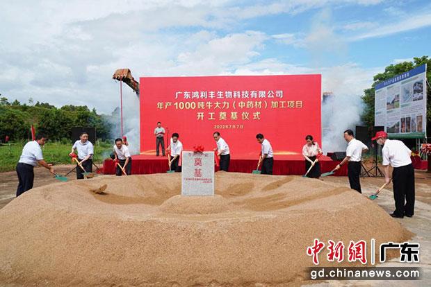 領(lǐng)導(dǎo)嘉賓為鴻利豐公司牛大力加工項(xiàng)目培土奠基。（劉爐慎 攝）