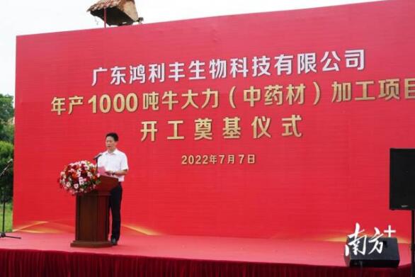 年產(chǎn)1000噸！牛大力（中藥材）加工項(xiàng)目在興寧開(kāi)工奠基